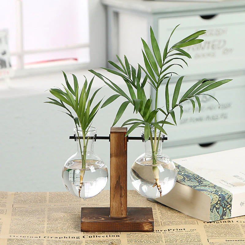 Soporte de Flores Plantas Hidropónico de 16ml x 2 41283